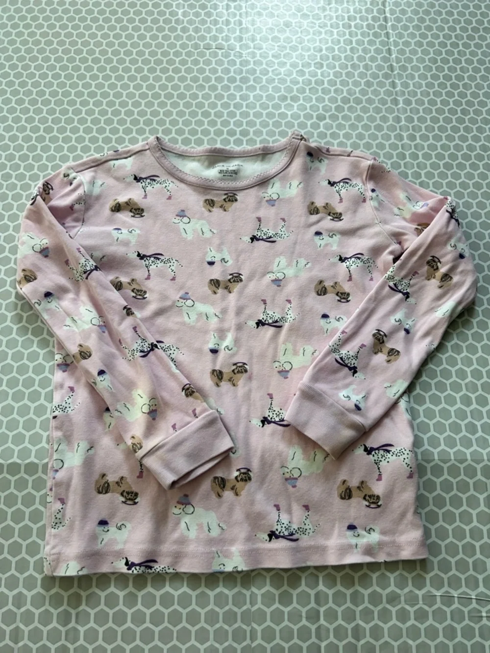 Janie and Jack Long-SleeveDog Theme Print Pajama Set. Size 10